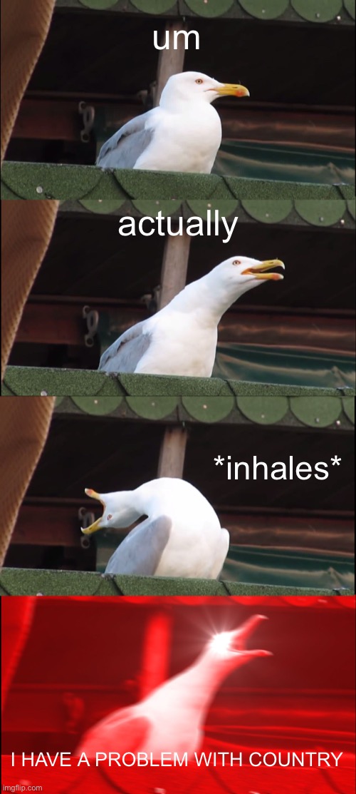 Inhaling Seagull Meme | um actually *inhales* I HAVE A PROBLEM WITH COUNTRY | image tagged in memes,inhaling seagull | made w/ Imgflip meme maker