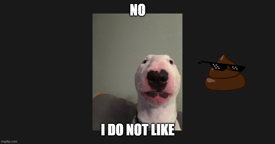walter does not like | NO; I DO NOT LIKE | image tagged in i dont care | made w/ Imgflip meme maker