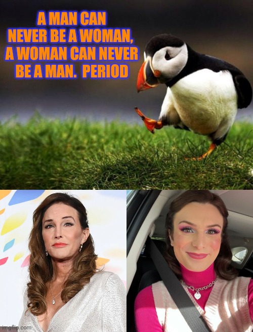 Gender and sexuality are binary and assigned at birth and carried to your death | A MAN CAN NEVER BE A WOMAN,  A WOMAN CAN NEVER BE A MAN.  PERIOD | image tagged in memes,unpopular opinion puffin | made w/ Imgflip meme maker