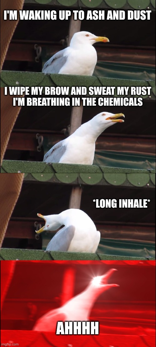 Dan Reynolds On Radioactive | I'M WAKING UP TO ASH AND DUST; I WIPE MY BROW AND SWEAT MY RUST
I'M BREATHING IN THE CHEMICALS; *LONG INHALE*; AHHHH | image tagged in memes,inhaling seagull,dan reynolds,radioactive,imagine dragons | made w/ Imgflip meme maker