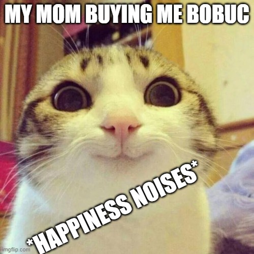 happy | MY MOM BUYING ME BOBUC; *HAPPINESS NOISES* | image tagged in memes,smiling cat | made w/ Imgflip meme maker