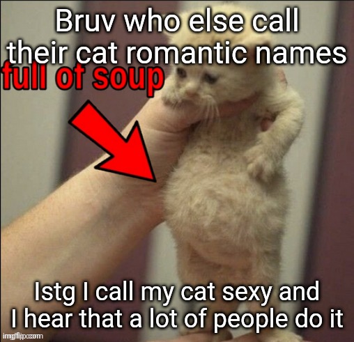 "I'm not a zoophile, I just have a dog asshole fetish" | Bruv who else call their cat romantic names; Istg I call my cat sexy and I hear that a lot of people do it | made w/ Imgflip meme maker