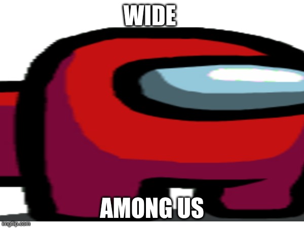 WIDE | WIDE; AMONG US | image tagged in among us | made w/ Imgflip meme maker