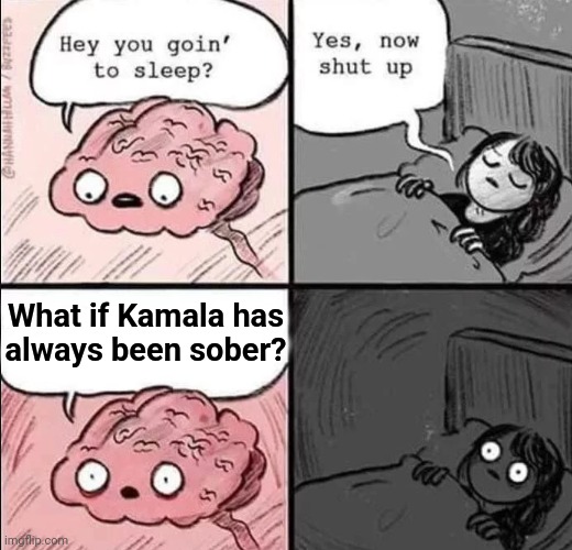 Please, no! | What if Kamala has
always been sober? | image tagged in waking up brain,memes,kamala harris,joe biden,democrats,sober | made w/ Imgflip meme maker