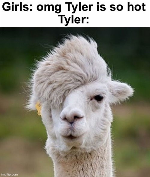 Insert title here | Girls: omg Tyler is so hot
Tyler: | image tagged in funny meme,girls be like | made w/ Imgflip meme maker