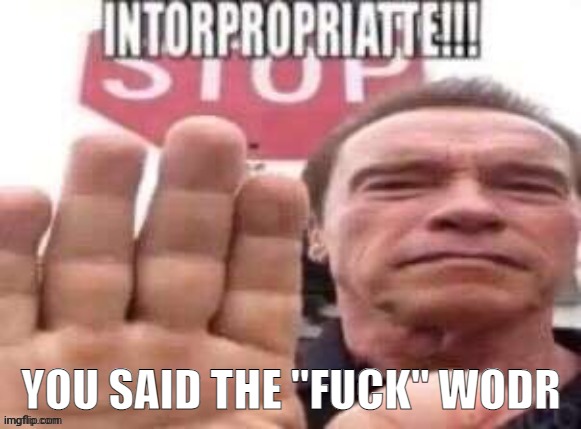 intorpropriatte | YOU SAID THE "FUCK" WODR | image tagged in intorpropriatte | made w/ Imgflip meme maker