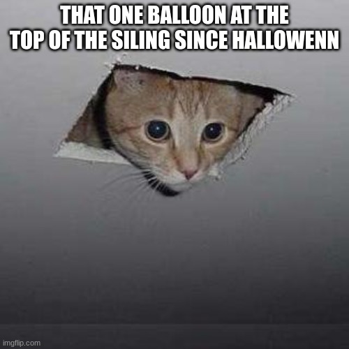 fr | THAT ONE BALLOON AT THE TOP OF THE SILING SINCE HALLOWENN | image tagged in memes,ceiling cat | made w/ Imgflip meme maker