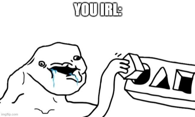 Let’s Go Brandon | YOU IRL: | image tagged in let s go brandon | made w/ Imgflip meme maker