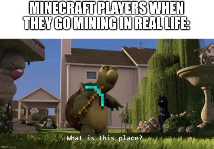 Mining | MINECRAFT PLAYERS WHEN THEY GO MINING IN REAL LIFE: | image tagged in what is this place,mining | made w/ Imgflip meme maker