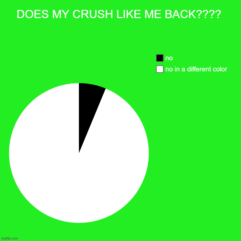 DOES MY CRUSH LIKE ME BACK???? | no in a different color, no | image tagged in charts,pie charts | made w/ Imgflip chart maker