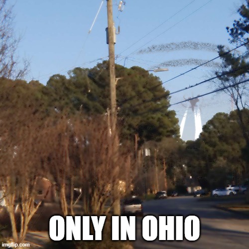 the storm | ONLY IN OHIO | made w/ Imgflip meme maker