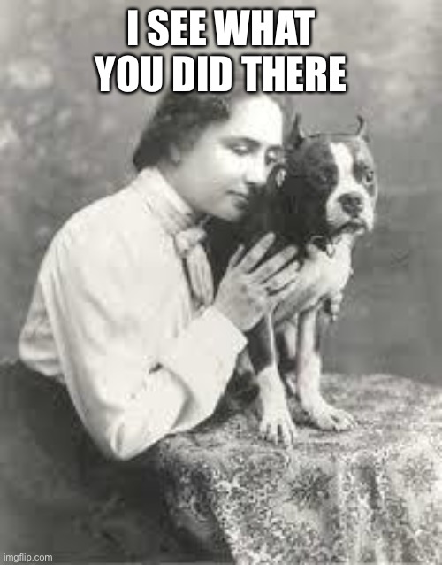 I SEE WHAT YOU DID THERE | image tagged in hellen keller | made w/ Imgflip meme maker