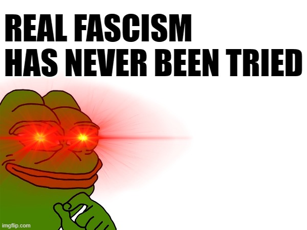 REAL FASCISM HAS NEVER BEEN TRIED | image tagged in fascist,based | made w/ Imgflip meme maker