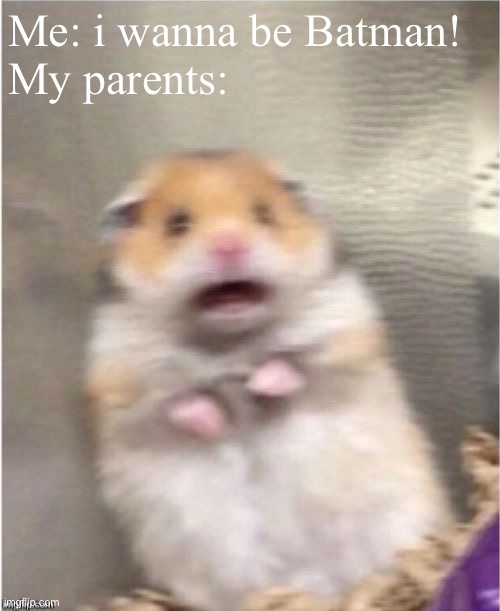 Scared Hamster | Me: i wanna be Batman!  
My parents: | image tagged in scared hamster | made w/ Imgflip meme maker