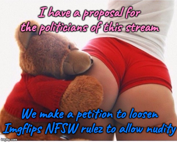 We start a sitewide campaign to loosen restrictions on nsfw content. | I have a proposal for the politicians of this stream; We make a petition to loosen Imgflips NFSW rulez to allow nudity | image tagged in booty | made w/ Imgflip meme maker