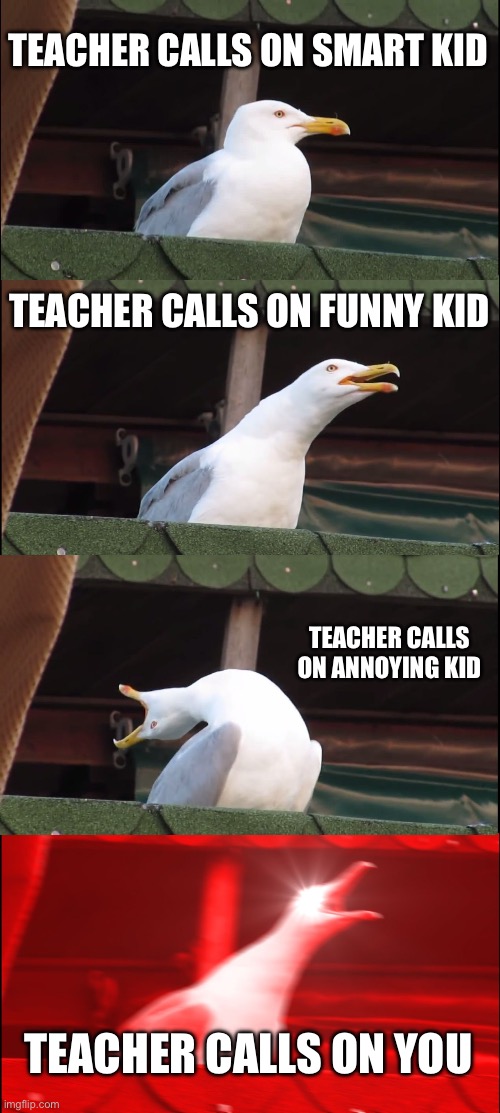 Teachers calling on people | TEACHER CALLS ON SMART KID; TEACHER CALLS ON FUNNY KID; TEACHER CALLS ON ANNOYING KID; TEACHER CALLS ON YOU | image tagged in memes,inhaling seagull,teachers,school | made w/ Imgflip meme maker