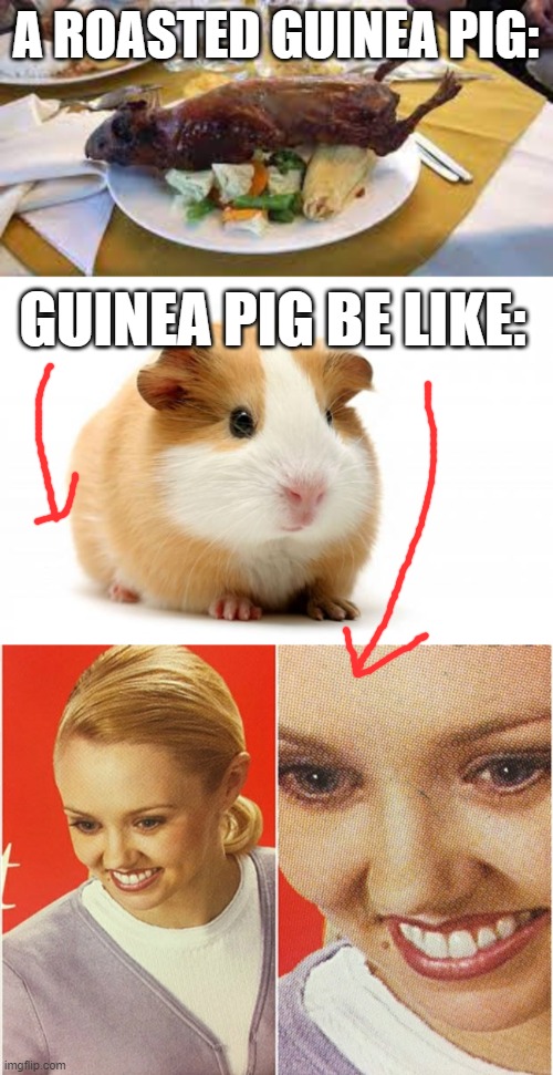 Roasted guinea pig. It's actually a thing | A ROASTED GUINEA PIG:; GUINEA PIG BE LIKE: | image tagged in guinea pig,wait what | made w/ Imgflip meme maker