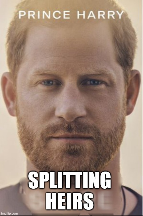 Prince Harry's book | SPLITTING
HEIRS | image tagged in royals | made w/ Imgflip meme maker