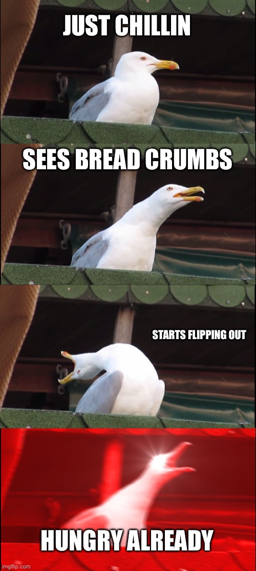 Inhaling Seagull | JUST CHILLIN; SEES BREAD CRUMBS; STARTS FLIPPING OUT; HUNGRY ALREADY | image tagged in memes,inhaling seagull | made w/ Imgflip meme maker