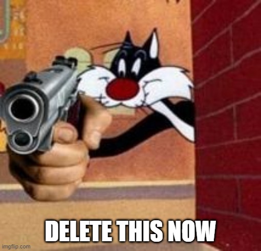 Sylvester the cat with a gun | DELETE THIS NOW | image tagged in sylvester the cat with a gun | made w/ Imgflip meme maker