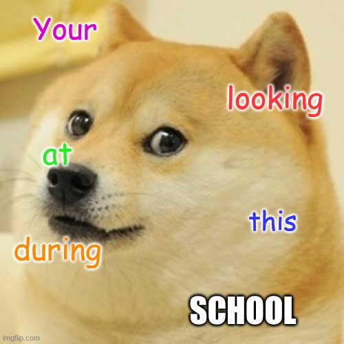 Not wrong | Your; looking; at; this; during; SCHOOL | image tagged in memes,doge | made w/ Imgflip meme maker