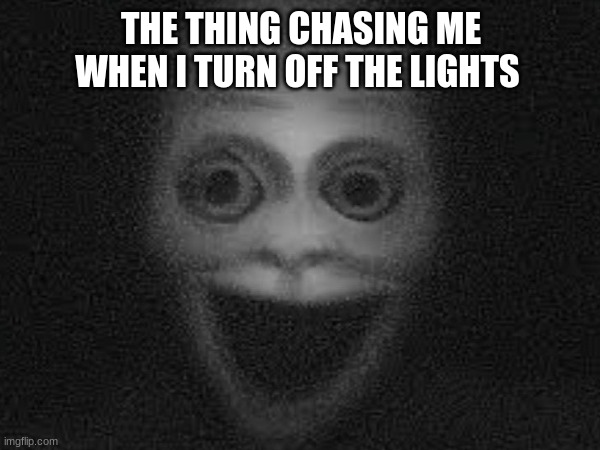 run | THE THING CHASING ME WHEN I TURN OFF THE LIGHTS | image tagged in funny | made w/ Imgflip meme maker