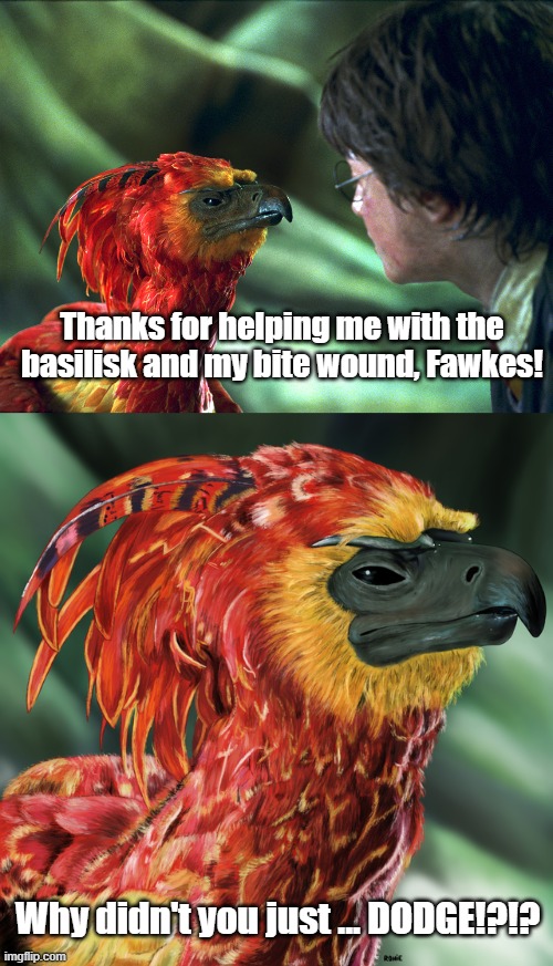 Chamber of Secrets, Abridged |  Thanks for helping me with the basilisk and my bite wound, Fawkes! Why didn't you just ... DODGE!?!? | image tagged in harry potter,fawkes,dodge,abridged | made w/ Imgflip meme maker