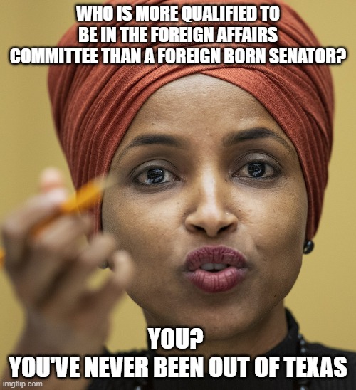 Ilhan Omar | WHO IS MORE QUALIFIED TO BE IN THE FOREIGN AFFAIRS COMMITTEE THAN A FOREIGN BORN SENATOR? YOU? 
YOU'VE NEVER BEEN OUT OF TEXAS | image tagged in ilhan omar,voted out,omar | made w/ Imgflip meme maker