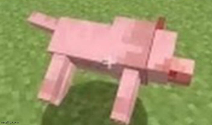 minecraft dog dying | image tagged in minecraft dog dying | made w/ Imgflip meme maker