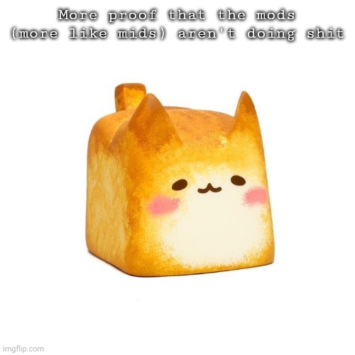Catbread | More proof that the mods (more like mids) aren't doing shit | image tagged in catbread | made w/ Imgflip meme maker