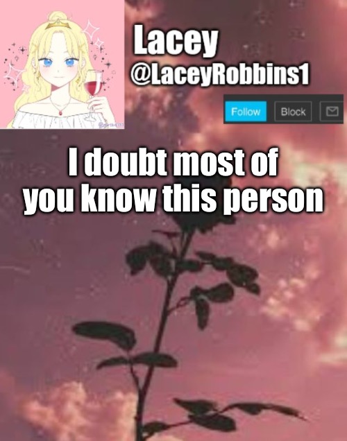 Lacey announcement template | I doubt most of you know this person | image tagged in lacey announcement template | made w/ Imgflip meme maker