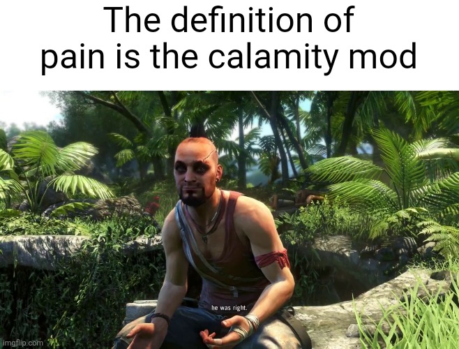 The Definition Of Insanity | The definition of pain is the calamity mod | image tagged in the definition of insanity | made w/ Imgflip meme maker