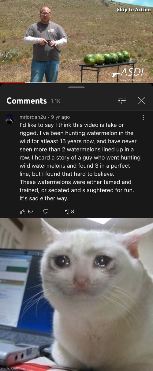 Watermelon | image tagged in crying cat,funny,funny memes,memes,youtube ads,watermelon | made w/ Imgflip meme maker