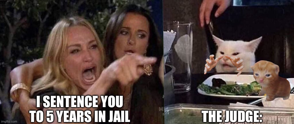 Don’t judge a cat bye it’s cover | I SENTENCE YOU TO 5 YEARS IN JAIL; THE JUDGE: | image tagged in woman yelling at cat | made w/ Imgflip meme maker