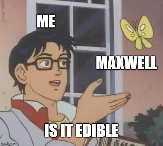 ME MAXWELL IS IT EDIBLE | image tagged in memes,is this a pigeon | made w/ Imgflip meme maker
