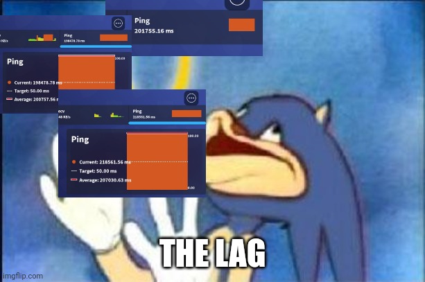 Sonic derp | THE LAG | image tagged in sonic derp | made w/ Imgflip meme maker