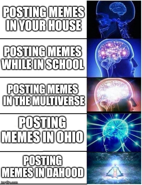 Postin In Da Hood | POSTING MEMES IN YOUR HOUSE; POSTING MEMES WHILE IN SCHOOL; POSTING MEMES  IN THE MULTIVERSE; POSTING MEMES IN OHIO; POSTING MEMES IN DAHOOD | image tagged in expanding brain 5 panel | made w/ Imgflip meme maker