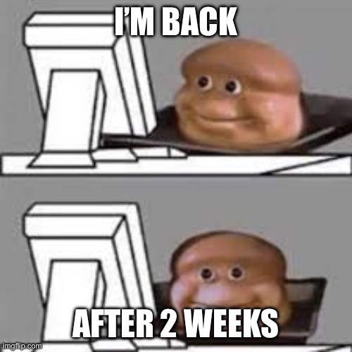 computer stare | I’M BACK; AFTER 2 WEEKS | image tagged in computer stare | made w/ Imgflip meme maker