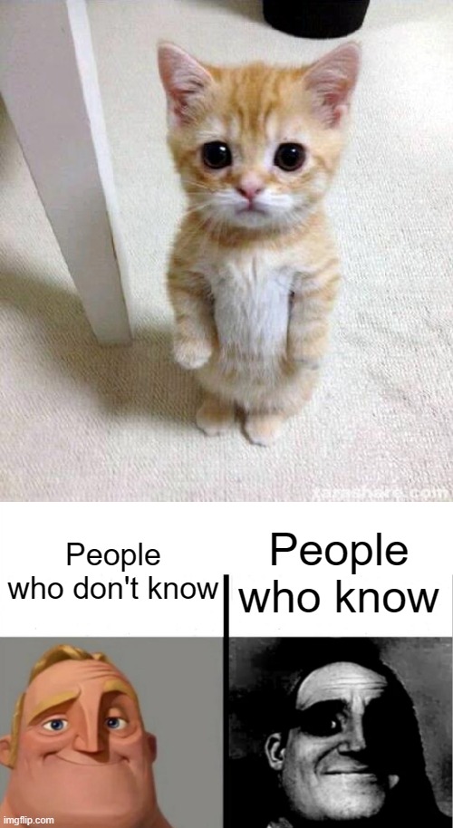 Chess people will understand. |  People who know; People who don't know | image tagged in memes,cute cat,teacher's copy,mittens,chess | made w/ Imgflip meme maker