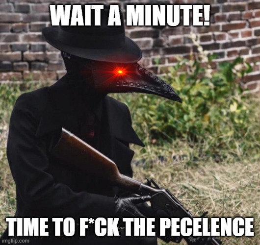 plague doctor with gun | WAIT A MINUTE! TIME TO F*CK THE PECELENCE | image tagged in plague doctor with gun | made w/ Imgflip meme maker