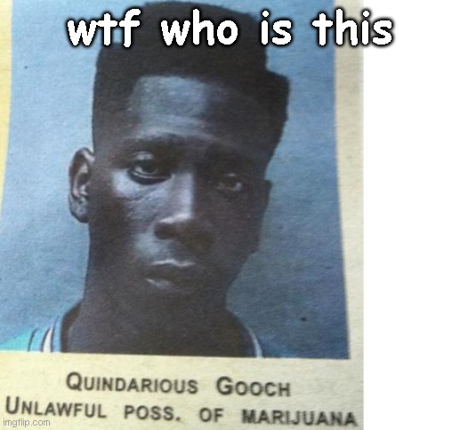 the gooch is loose | wtf who is this | image tagged in quindarious gooch,funny memes,funny,memes,meme,funny meme | made w/ Imgflip meme maker