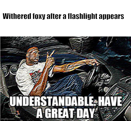 UNDERSTANDABLE, HAVE A GREAT DAY | Withered foxy after a flashlight appears | image tagged in understandable have a great day | made w/ Imgflip meme maker