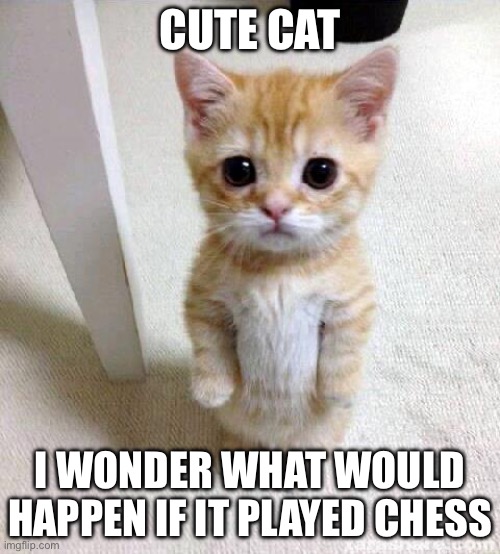 (It's the cat that the chess bot on chess.com named mittens is based off of, which has only been beaten by stockfish, a stronger | CUTE CAT; I WONDER WHAT WOULD HAPPEN IF IT PLAYED CHESS | image tagged in memes,cute cat | made w/ Imgflip meme maker