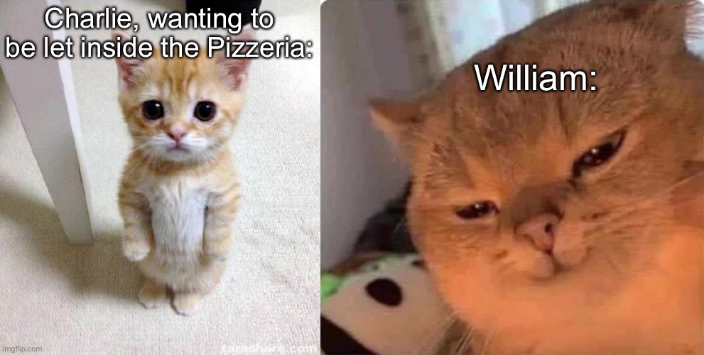 Basically it | William:; Charlie, wanting to be let inside the Pizzeria: | image tagged in memes,cute cat,satisfied cat | made w/ Imgflip meme maker
