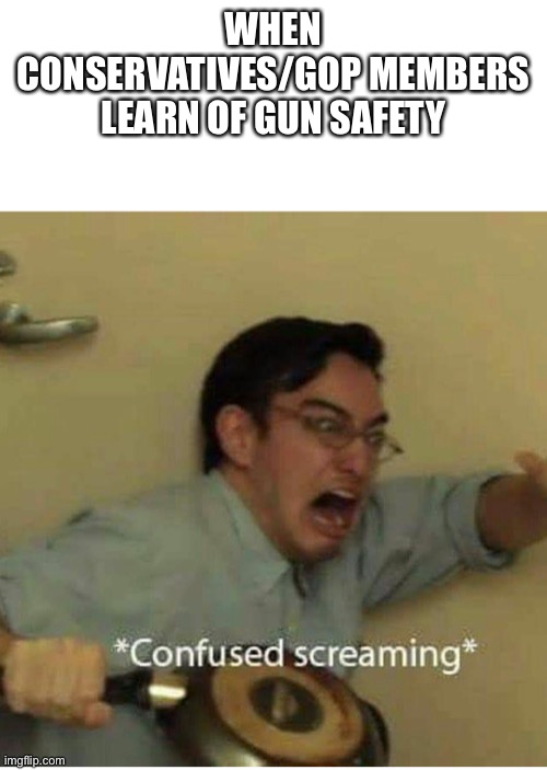 confused screaming | WHEN CONSERVATIVES/GOP MEMBERS LEARN OF GUN SAFETY | image tagged in confused screaming | made w/ Imgflip meme maker