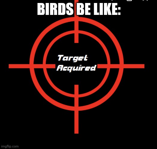 Target acquired | BIRDS BE LIKE: | image tagged in target acquired | made w/ Imgflip meme maker