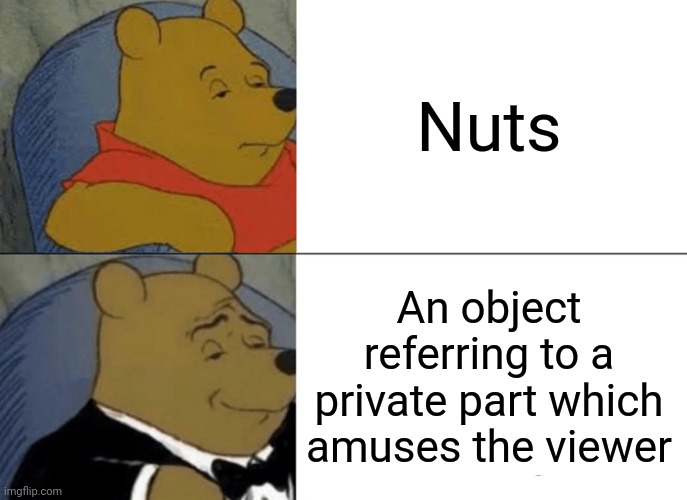 Tuxedo Winnie The Pooh Meme | Nuts An object referring to a private part which amuses the viewer | image tagged in memes,tuxedo winnie the pooh | made w/ Imgflip meme maker
