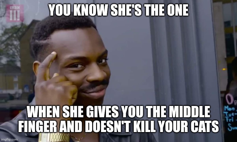 Eddie Murphy thinking | YOU KNOW SHE'S THE ONE; WHEN SHE GIVES YOU THE MIDDLE FINGER AND DOESN'T KILL YOUR CATS | image tagged in eddie murphy thinking | made w/ Imgflip meme maker