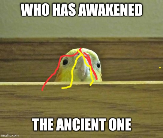 The Birb | WHO HAS AWAKENED THE ANCIENT ONE | image tagged in the birb | made w/ Imgflip meme maker