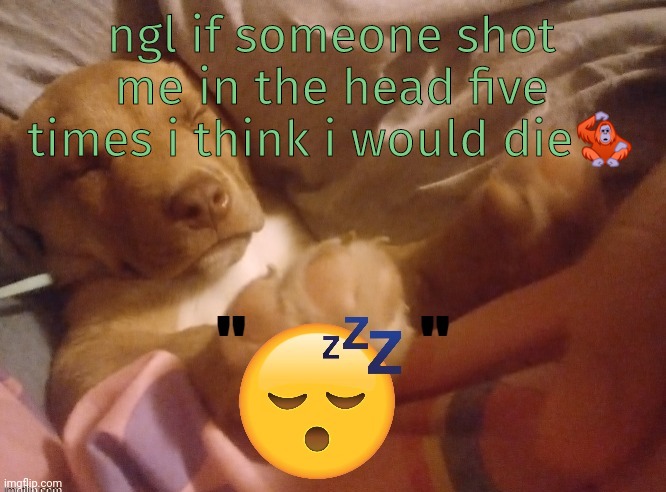 quandale | ngl if someone shot me in the head five times i think i would die🦧 | image tagged in quandale | made w/ Imgflip meme maker